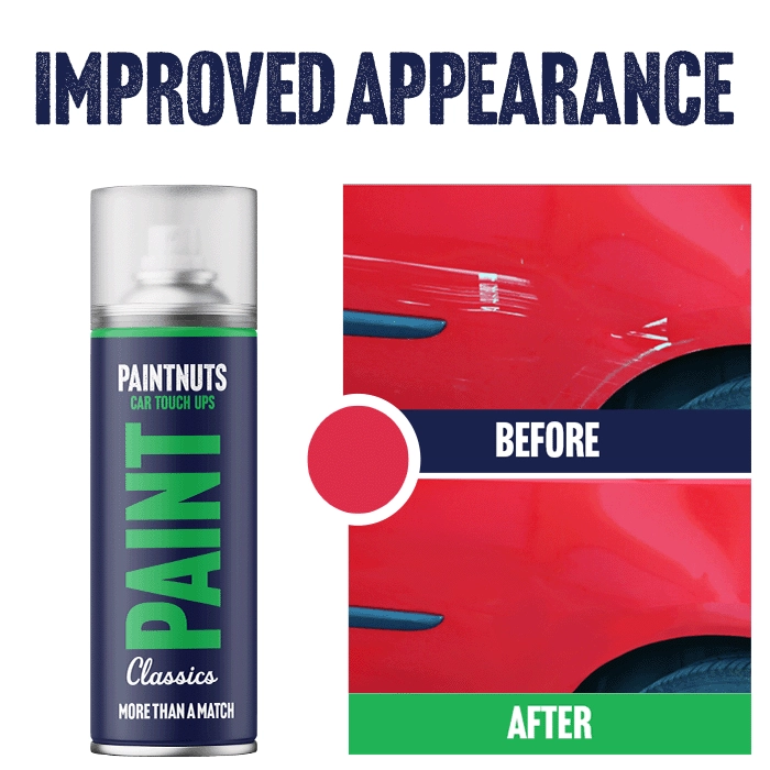 Touch Up Aerosol for Classic Cars